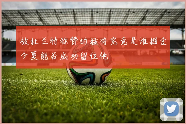 被杜兰特称赞的猛将究竟是谁掘金今夏能否成功留住他